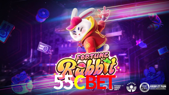 Premium Interface 55Cbet